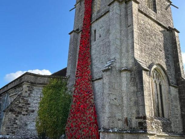 Poppies in Wareham, United Kingdom. Photo source: Claire Smith