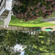 side yard